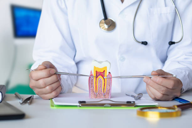 Best Walk-In Emergency Dental Services in Garretson, SD